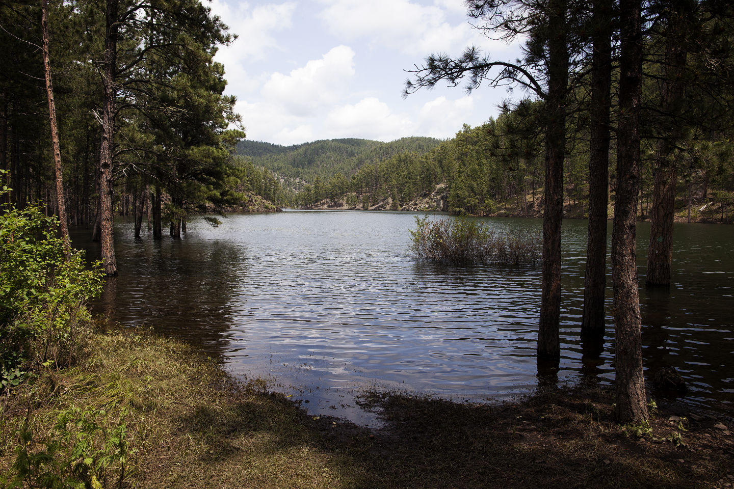 No. 21: Bear Gulch